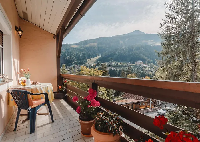 公寓 Schubert-franz 12 By Interhome 巴特霍夫加施泰因