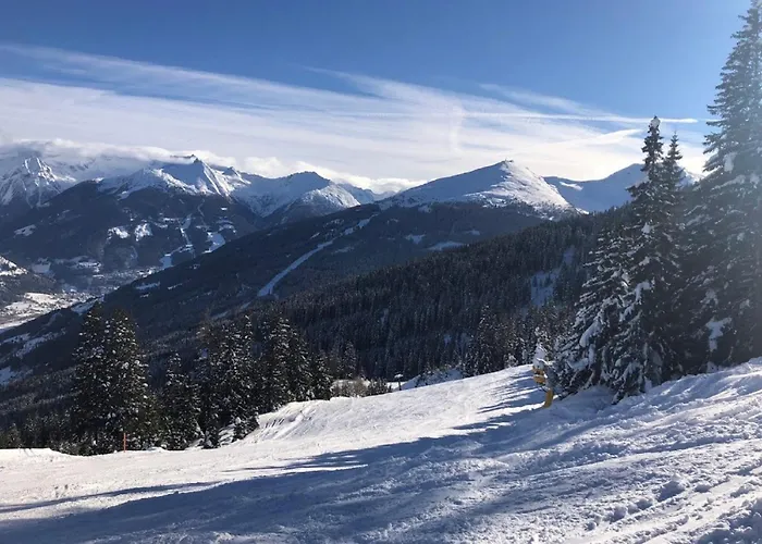 公寓 Schubert-franz 12 By Interhome 巴特霍夫加施泰因